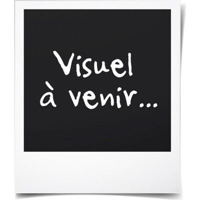 OEM Spremiagrumi - Rosenstein & Söhne - Professionale - Ghisa - Grigio - Ideale Per Frullati E Marmellate OEM Spremiagrumi - Rosenstein & Söhne - Professionale - Ghisa - Grigio - Ideale Per Frullati E Marmellate