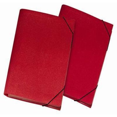 LEBEZ 2554-r Cartella Polipropilene (pp) Rosso A4 LEBEZ 2554-r Cartella Polipropilene (pp) Rosso A4