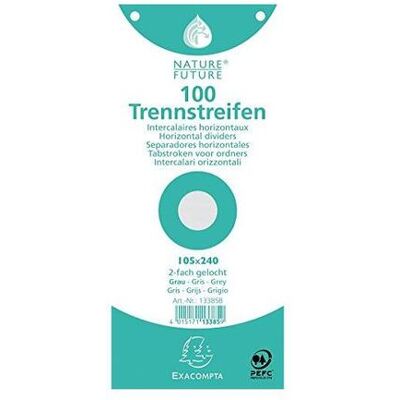 EXACOMPTA 13385b Scheda Per Indice Grigio 100 Pz EXACOMPTA 13385b Scheda Per Indice Grigio 100 Pz