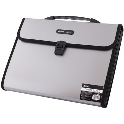 OEM Cartella D.rect 5570 A 12 Scomparti Con Maniglia, Formato A4, Grigia. OEM Cartella D.rect 5570 A 12 Scomparti Con Maniglia, Formato A4, Grigia.