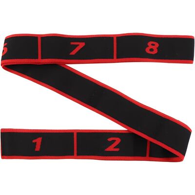 OEM 2 Fasce Elastiche Per Allenamento Di Forza, 8 Livelli Di Resistenza, Fascia Elastica Per Esercizi, Fascia Elastica Sportiva Per Fitness E Allenamento Di Forza, Per Yoga Latino, Pilates E Fitness (ross OEM 2 Fasce Elastiche Per Allenamento Di Forza, 8 Livelli Di Resistenza, Fascia Elastica Per Esercizi, Fascia Elastica Sportiva Per Fitness E Allenamento Di Forza, Per Yoga Latino, Pilates E Fitness (ross