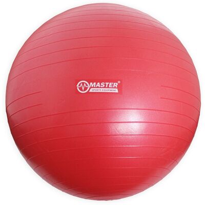 Palla Ginnastica Master Lock 75 cm con Pompa Palla Ginnastica Master Lock 75 cm con Pompa