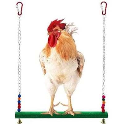 OEM Altalena Per Galline - Giocattoli Per Galline - Giocattolo Per Galline - Uccelli, Pappagalli, Ara, Galline - Scala A Dondolo - Per Galline E Pappagalli OEM Altalena Per Galline - Giocattoli Per Galline - Giocattolo Per Galline - Uccelli, Pappagalli, Ara, Galline - Scala A Dondolo - Per Galline E Pappagalli