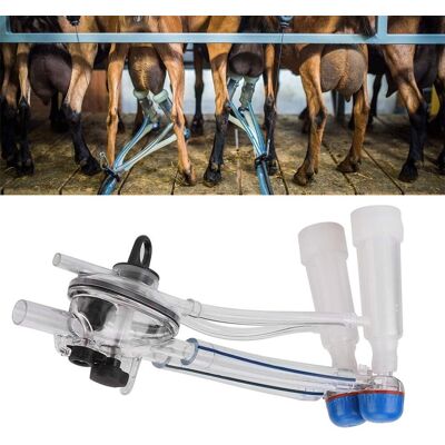 VISTRECK Unità Di Mungitura Trasparente – Capra / Pecora / Mucca – Plastica Per Uso Alimentare – Carrello Mobile – Mungitrice VISTRECK Unità Di Mungitura Trasparente – Capra / Pecora / Mucca – Plastica Per Uso Alimentare – Carrello Mobile – Mungitrice