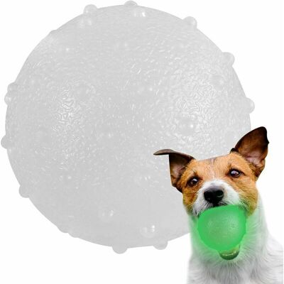 DPZO Palla Luminosa Per Cani, Palla Interattiva Notturna Per Cani, Giocattolo Lucido Da Riporto, Palla Per Esercizi Con Fischietto Per Cani, Animali Domestici, Cuccioli E Bambini - Gioca E Insegui DPZO Palla Luminosa Per Cani, Palla Interattiva Notturna Per Cani, Giocattolo Lucido Da Riporto, Palla Per Esercizi Con Fischietto Per Cani, Animali Domestici, Cuccioli E Bambini - Gioca E Insegui