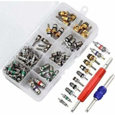 OEM Kit Di 102 Pezzi Per Valvole Di Condizionamento Aria R134a Con Strumento Di Estrazione Per Riparazioni Auto. OEM Kit Di 102 Pezzi Per Valvole Di Condizionamento Aria R134a Con Strumento Di Estrazione Per Riparazioni Auto.