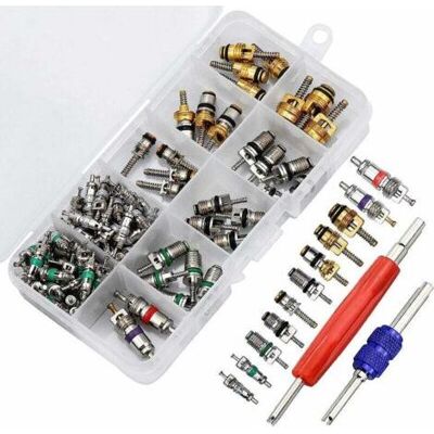 ABYSSE Inserto Per Valvola Di Condizionamento R134a – Set Da 102 Pezzi Con Strumento Di Rimozione – Resistente A Olio E Corrosione – Universalmente Compatibile – 102 Pezzi ABYSSE Inserto Per Valvola Di Condizionamento R134a – Set Da 102 Pezzi Con Strumento Di Rimozione – Resistente A Olio E Corrosione – Universalmente Compatibile – 102 Pezzi