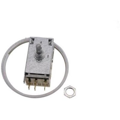 Termostato Indesit C00048882 - Controllo frigorifero, congelatore Termostato Indesit C00048882 - Controllo frigorifero, congelatore