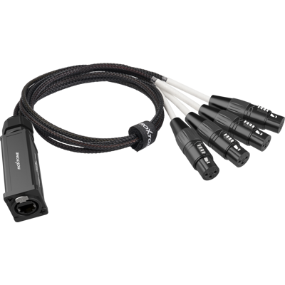 OEM Adattatore Convertitore Roxtone Da Dmx Femmina Ps4f A Rj45 Femmina OEM Adattatore Convertitore Roxtone Da Dmx Femmina Ps4f A Rj45 Femmina