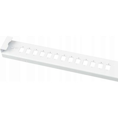 OEM Pannello In Fibra Ottica Simplex Da 19” 1u Con 24 Connettori Sc OEM Pannello In Fibra Ottica Simplex Da 19” 1u Con 24 Connettori Sc