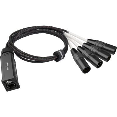 OEM Adattatore Convertitore Roxtone Ps4m Da Dmx Maschio A Rj45 Femmina OEM Adattatore Convertitore Roxtone Ps4m Da Dmx Maschio A Rj45 Femmina