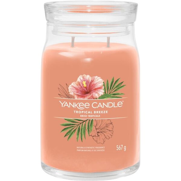 yankee candle - candela grande signature tropical breeze candele 567 g unisex