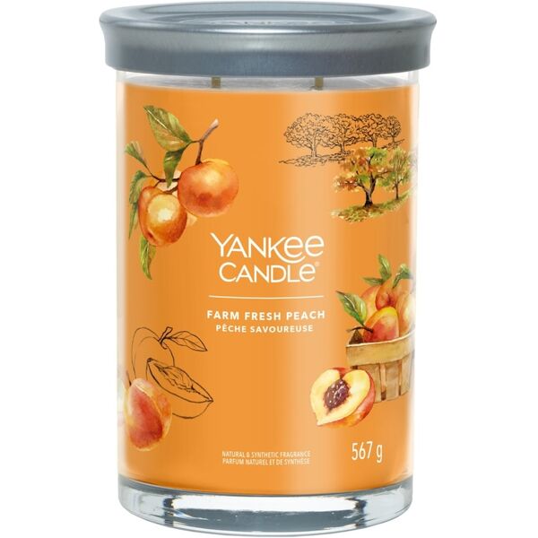 yankee candle - candela tumbler grande signature farm fresh peach candele 567 g unisex