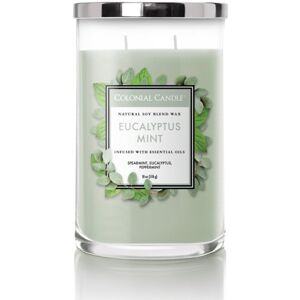 Colonial Candle - Classic Jar Eucalyptus Mint Candele 538 g unisex