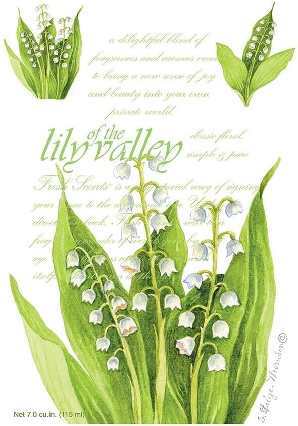 The WillowBrook Company - Maxi Busta Profumata Lily Of The Valley Accessori per il bagno 115 ml unisex