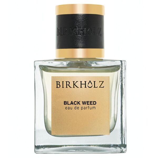 birkholz - classic collection black weed profumi uomo 100 ml male