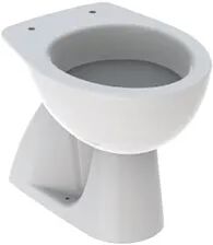 Geberit Colibrì Wc Scarico Pavimento 36x53 Bianco Lucido Codice Prod: 500.856.00.1