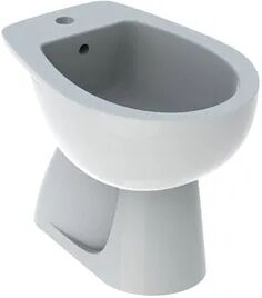 Geberit Colibrì Bidet A Pavimento 36x53 Bianco Lucido Codice Prod: 500.889.00.1