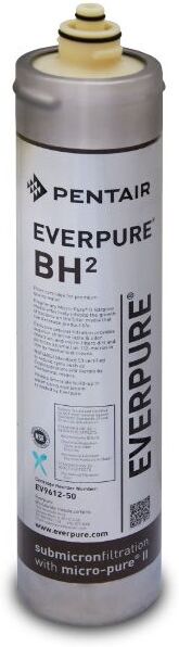 Everpure Pentair Filtro Everpure BH2 EV9612-50