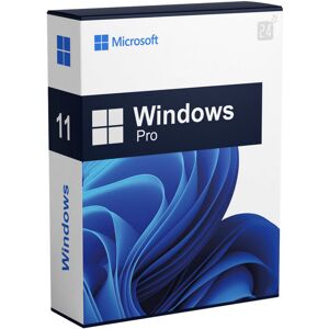 Microsoft Windows Professional Windows 11 1 Dispositivo Perpetua