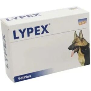 VETPLUS Lypex 60 Capsule