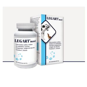 LEGART Maxi 60 Compresse Da 2 g