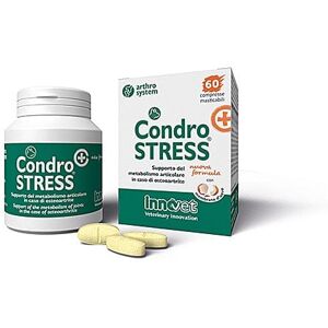 INNOVET Condrostress (+) Alimento Complementare Cane 60 Compresse