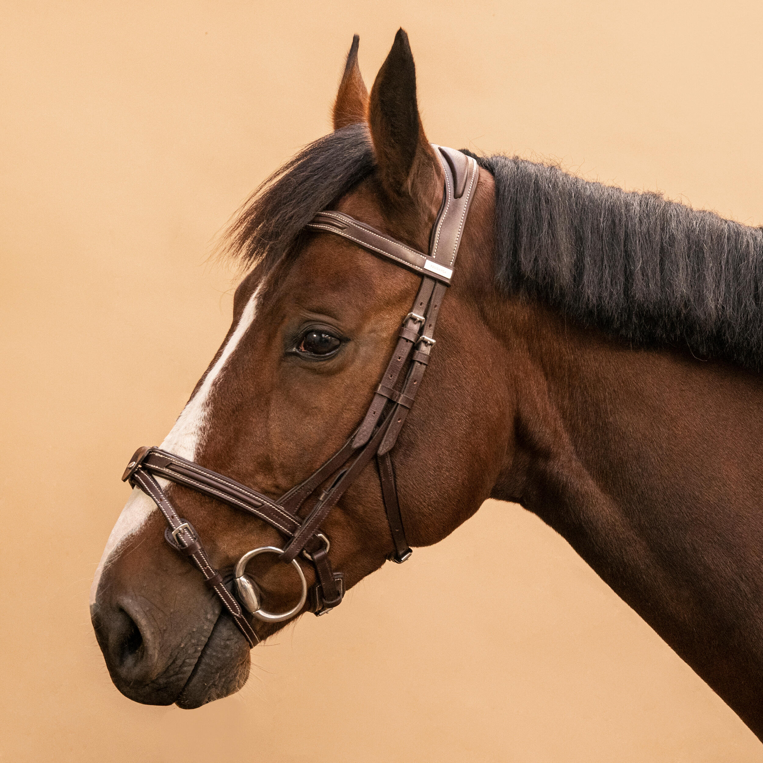 FOUGANZA Testiera equitazione cavallo e pony 900 cuoio capezzina francese marrone