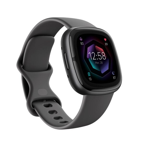 fitbit smartwatch con gps fitibit sense 2 grigio