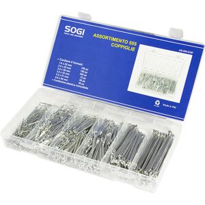 ASSORTIMENTO SET SERIE DI 555 COPPIGLIE PERNI FERMI SOGI AS-555-COP ACCIAIO