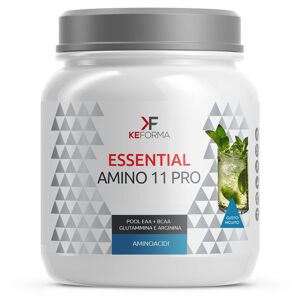 Keforma Essential Amino 11 Pro 320 Gr Mojito