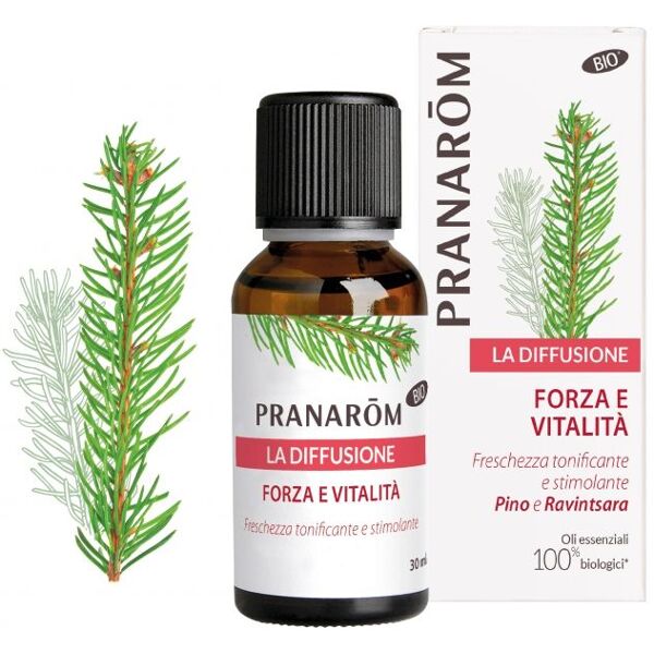 pranarom forza e vitalità essenza per diffusione pino e ravintsara 30ml