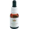 Bush Flower She Oak Olio Essenziale Gocce 15ml