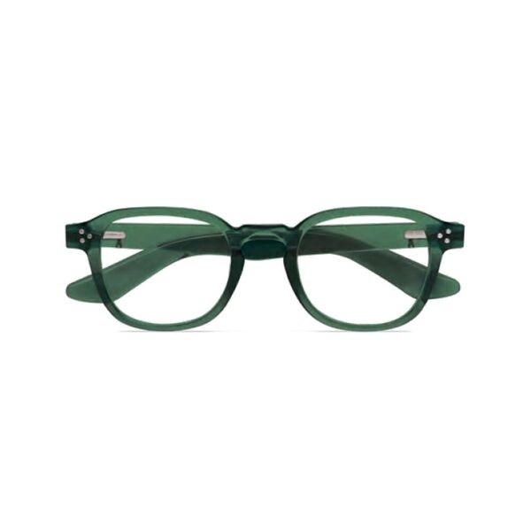 twins optical occhiali lettura platinum giglio verde pino +3,00 1 paio