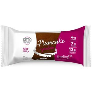 Feeling Ok Plumcake Gusto Cacao 45g