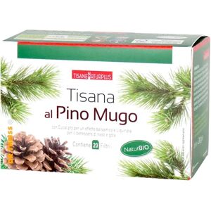 Dr Theiss Naturplus Tisana Pino Mugo Balsamica 20 Filtri