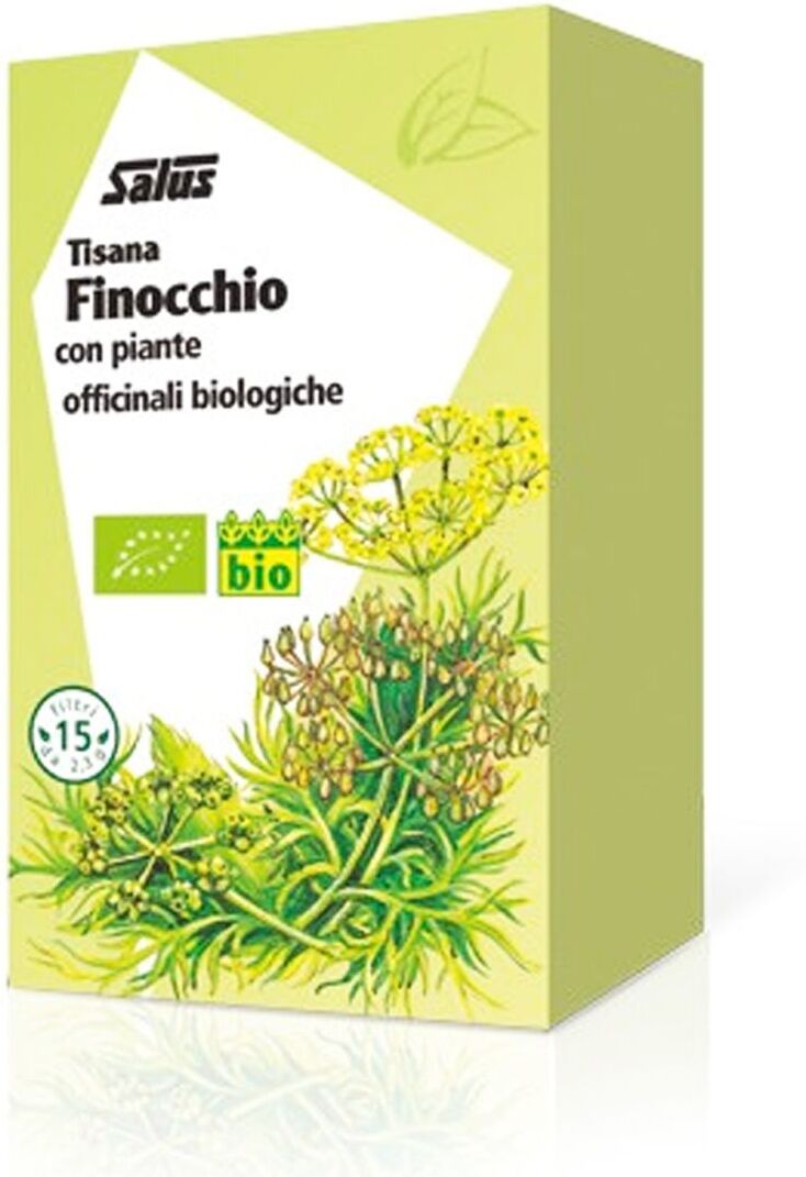 Salus Haus Finocchio Tisana Digestiva 15 Filtri Bio