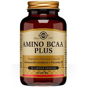 Solgar Amino Bcaa Plus Integratore Di Aminoacidi E Vitamina B6 50 Capsule