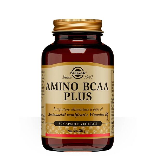 solgar amino bcaa plus integratore di aminoacidi e vitamina b6 50 capsule