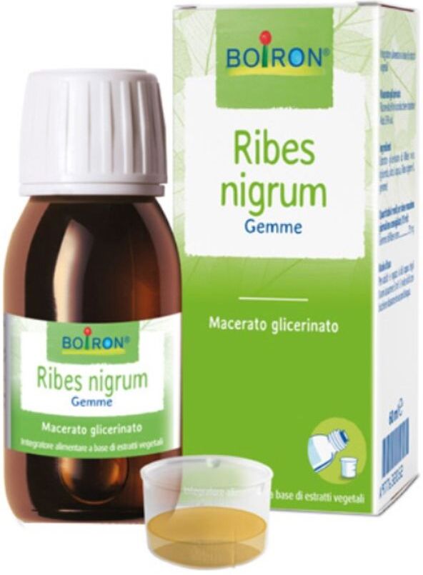 Boiron Ribes Nigrum Macerato Glicerinato 60ml