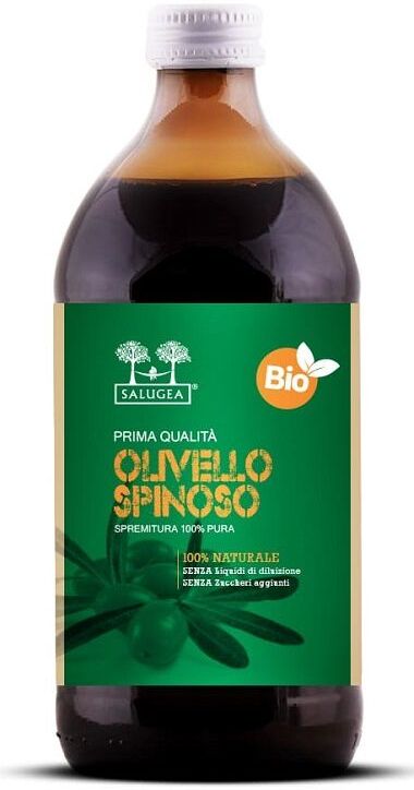 Salugea Succo Olivello Bio Integratore Ricostituente 500ml