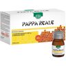 Esi Pappa Reale Integratore Tonico 10 Flaconi