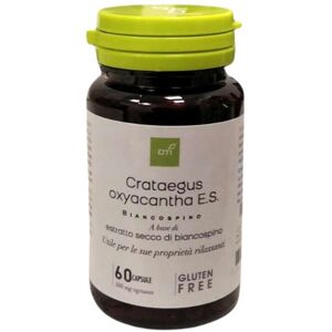 Oti Crataegus Oxyacantha Estratto Secco Medicinale Omeopatico 60 Capsule