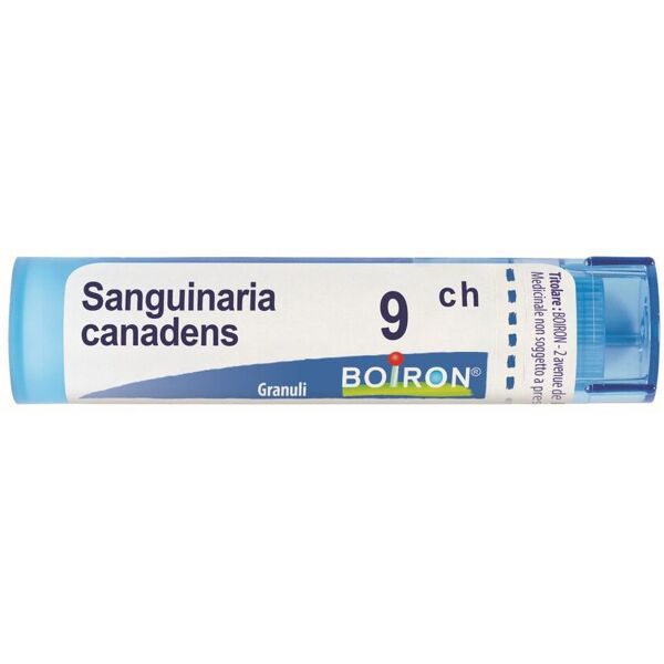 boiron sanguinaria canadensis 9ch 80 granuli multidose