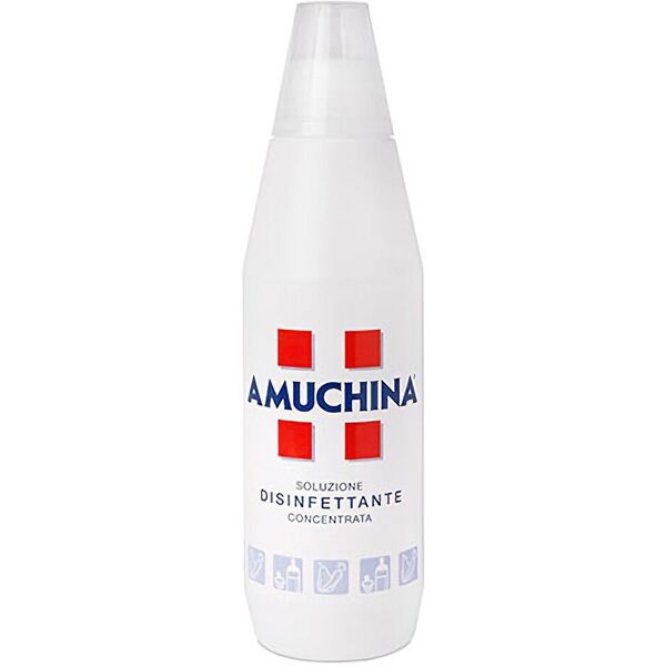 amuchina soluzione disinfettante concentrata ad ampio spettro liquida 100% 1000ml