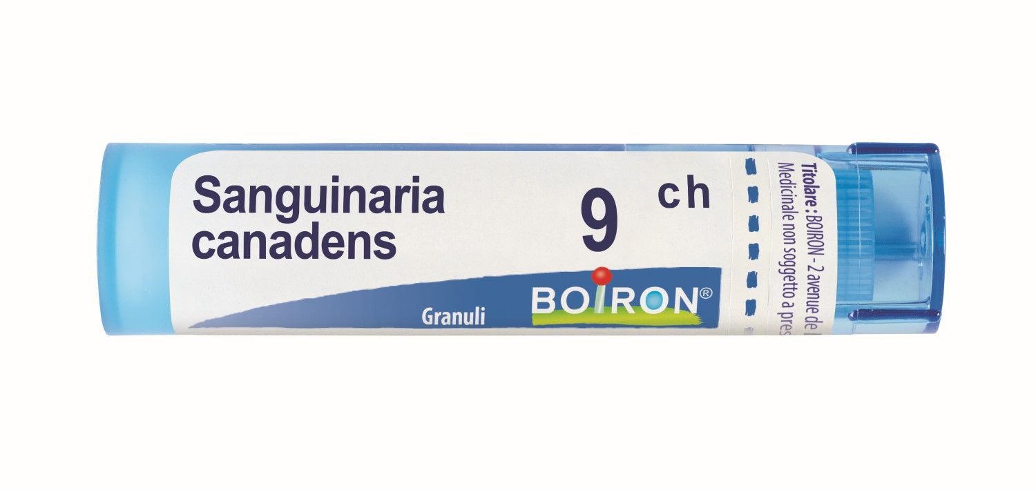 Boiron Sanguinaria Canadensis 9ch 80 Granuli Multidose