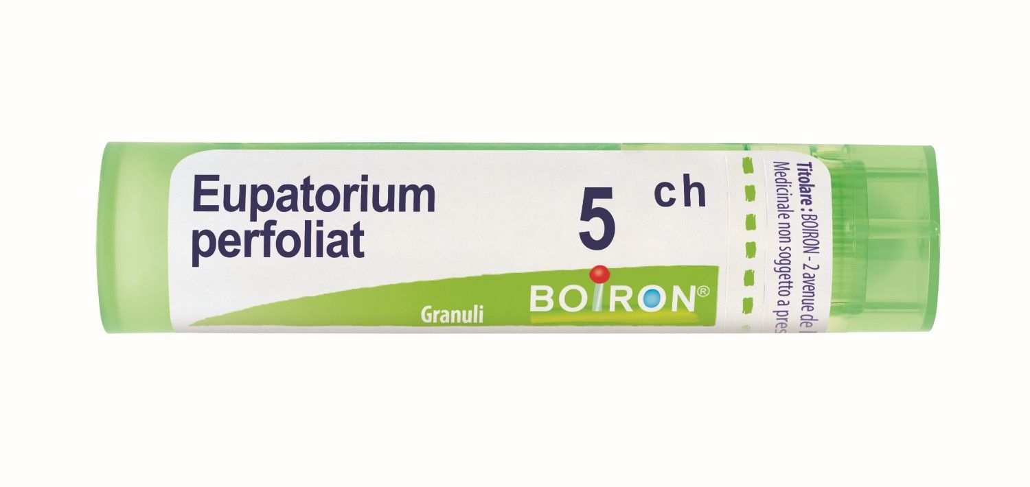 Boiron Eupatorium Perfoliatum 5ch 80 Granuli