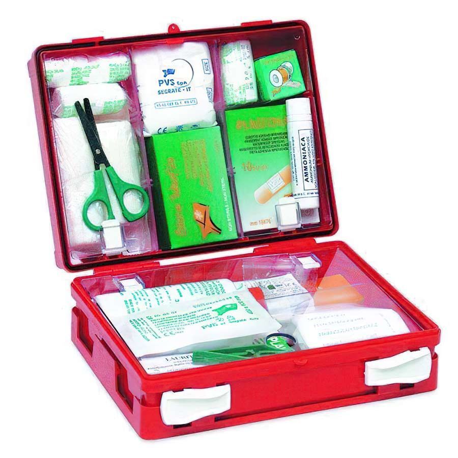 Farmacare Cassetta Pronto Soccorso Mini Kit Per Casa