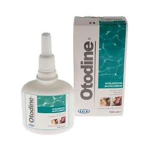 Otodine Soluzione Auricolare 100ml