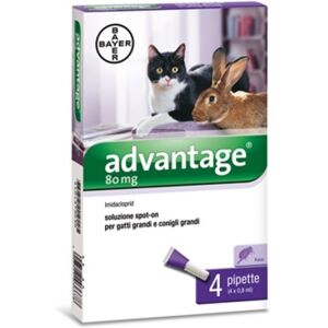 Advantage Spot On 0,8ml Trattamento Pulci Conigli E Gatti 4 Pipette